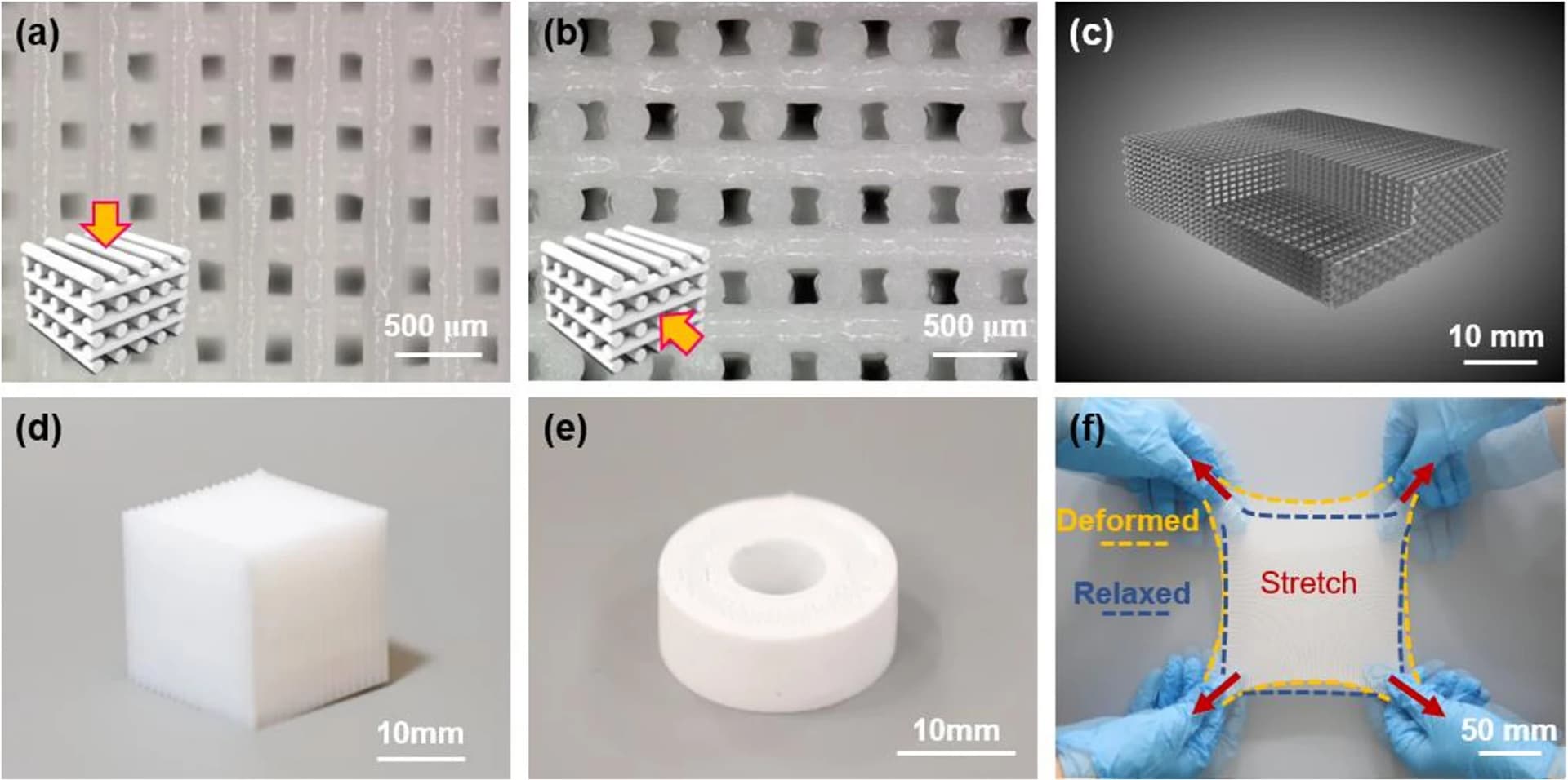 3D printed silicone lattice resists fungi while damping vibration