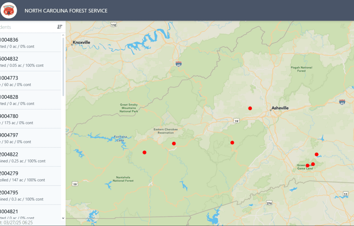 How to Choose and Care for a Fraser Fir in Buncombe County