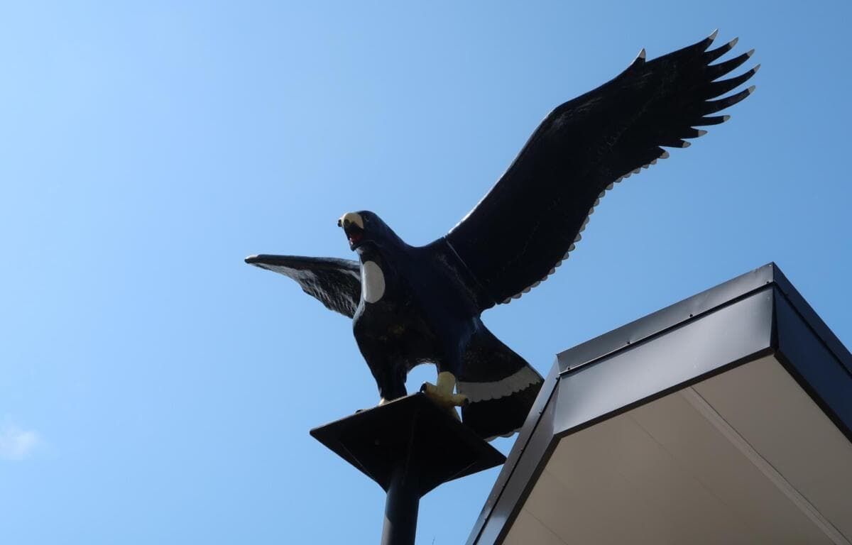 North Buncombe High Earns Spot on 2026 AP School Honor Roll