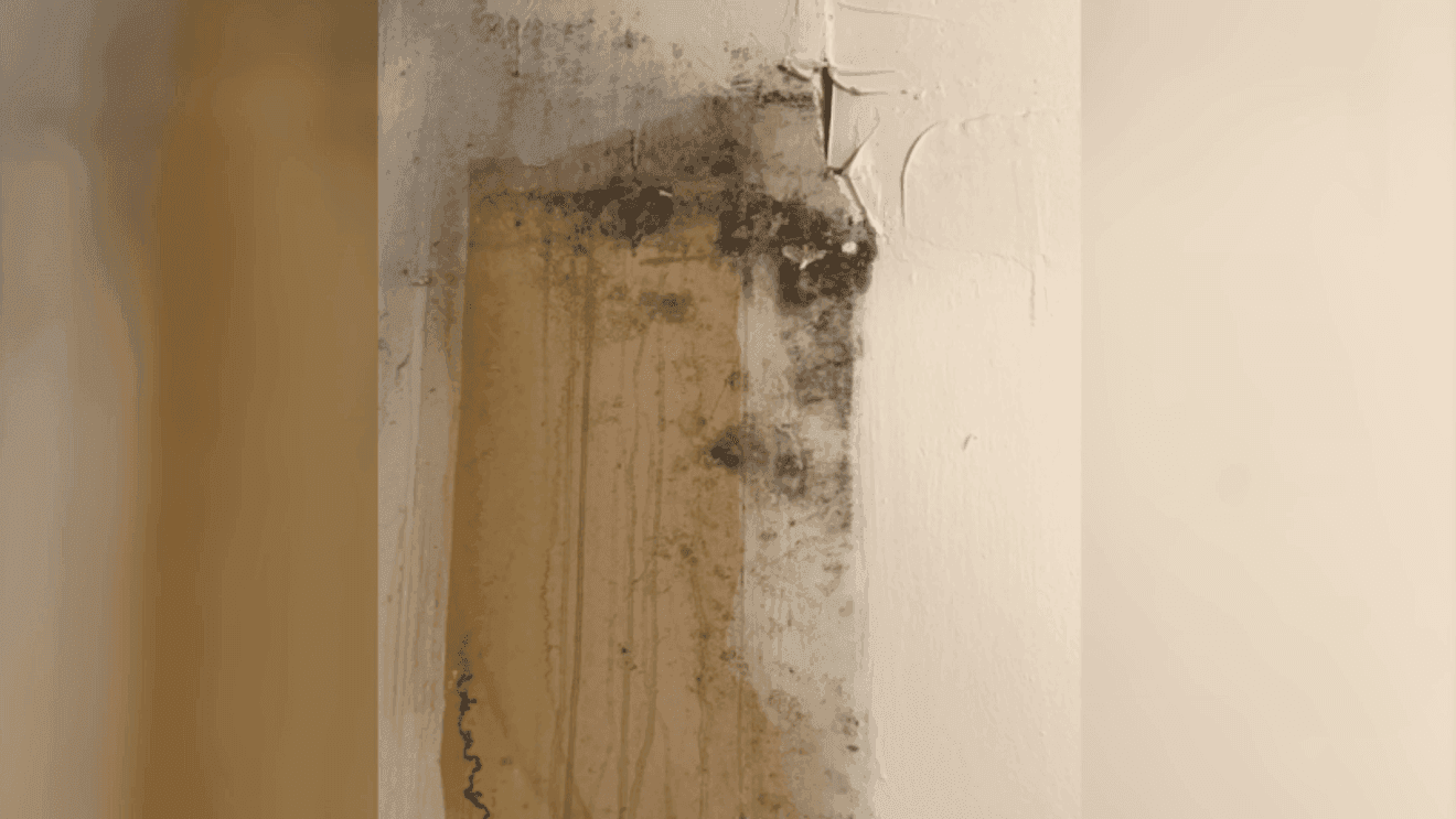 Greensboro renters say apartment repairs ignored for months