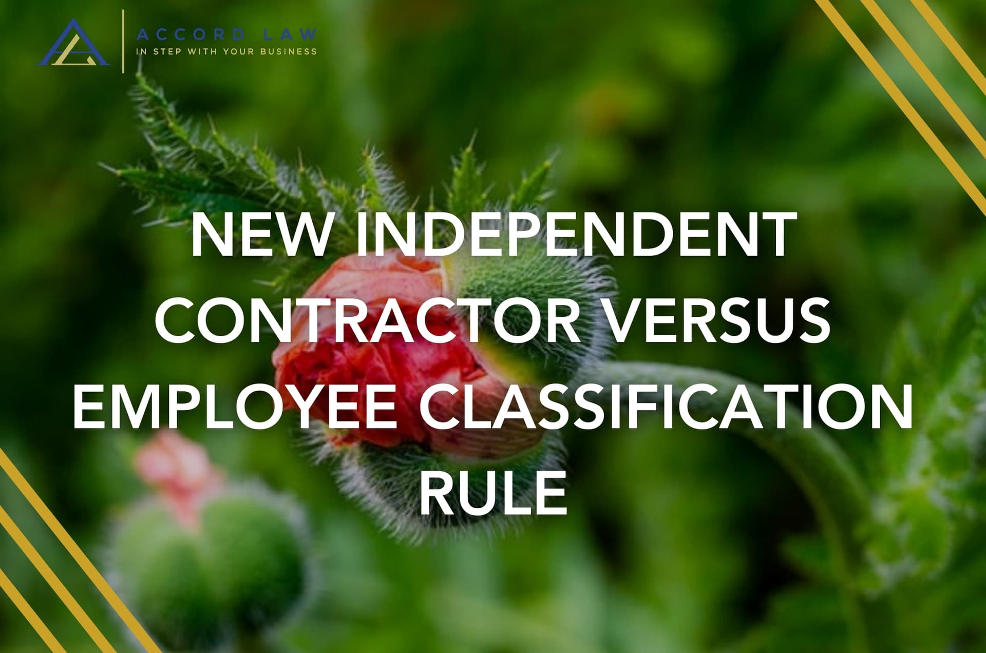 DOL and IRS Clarify Worker Classification Guidance Implications for Nintendo Employers