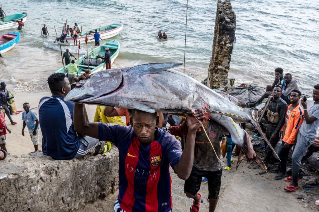 Chinese vessels’ illegal tuna fishing exposes Somalia’s maritime security gaps