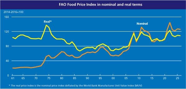 UN Food Price Index Rises Again in March, Conflict Threatens Future Harvests