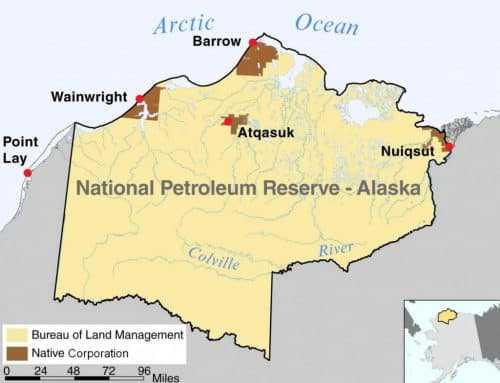Judge Denies Request to Halt ConocoPhillips Winter Exploration in NPRA