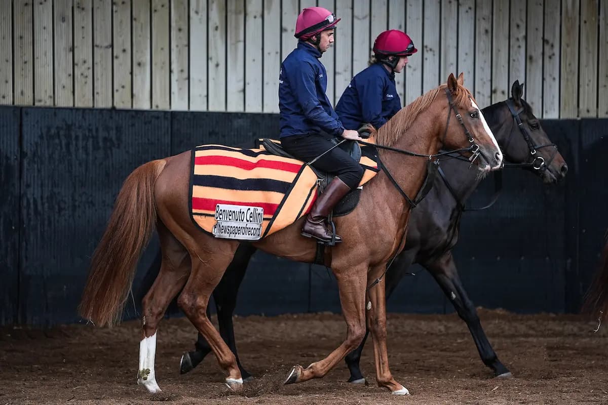 Ballydoyle visit highlights Benvenuto Cellini and Derby depth at O’Brien base