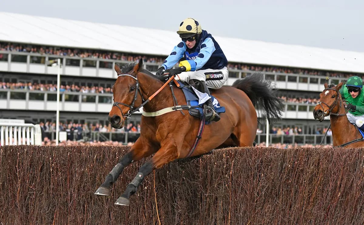 Hansard Fatally Injured During Arkle Chase at Cheltenham Festival