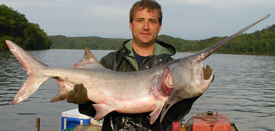 Birdseye Woman Arrested After Indiana DNR Probe Finds Paddlefish at Patoka Lake