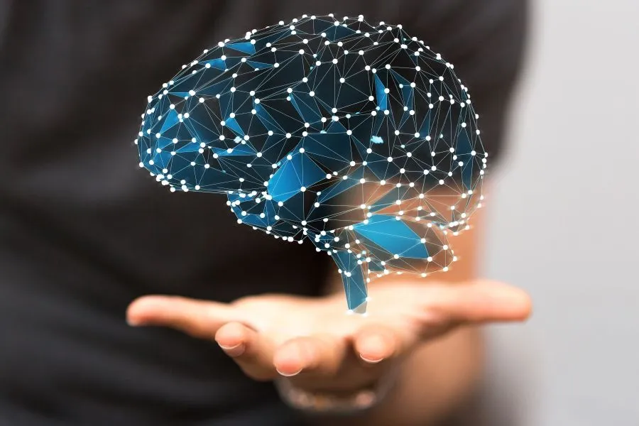 Study reveals gut-brain signal drives protein-seeking appetite