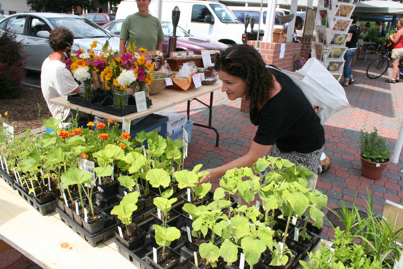 Goochland farmers market draws 600 shoppers, boosts local food access