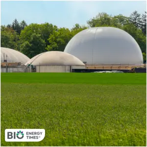India allocates 544.15 crore to turn crop residue into bioenergy