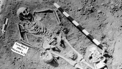 Ancient plague cases in Siberia rewrite disease origins, and spread