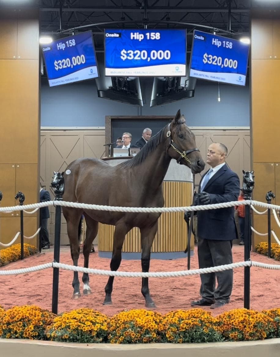 Fasig-Tipton Revives Eastern Fall Yearlings Name for Revamped 2026 Timonium Sale