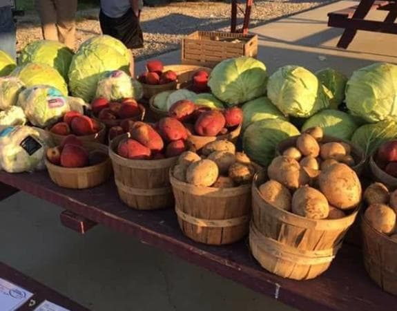 Owsley County farms turn food, flowers and events into agritourism