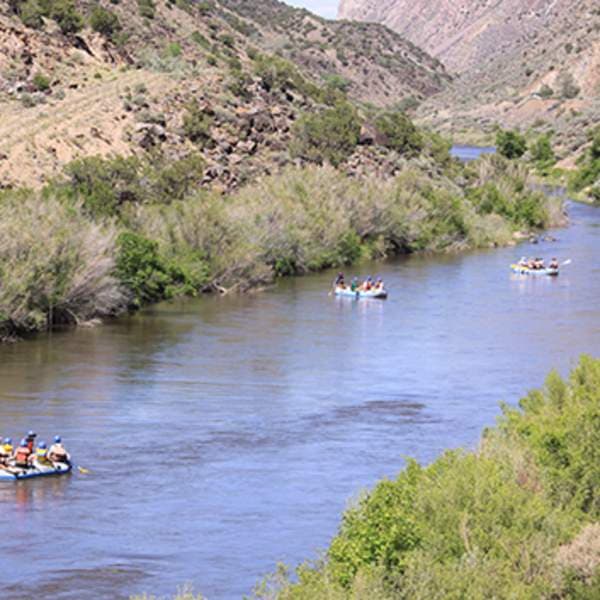 Lower Gila River near Virden draws birders and paddlers