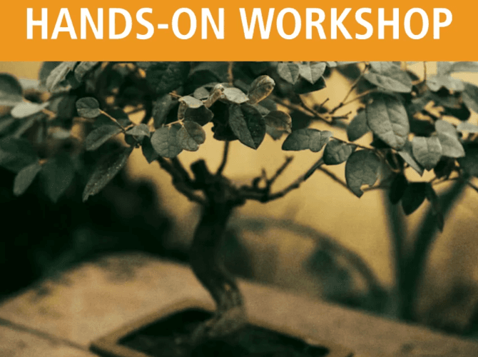 Iowa Bonsai Association enters busy season with packed meetings and workshops