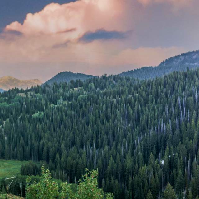 Park City Wildfire Preparedness Fair Set for June 21 at Pinebrook Park