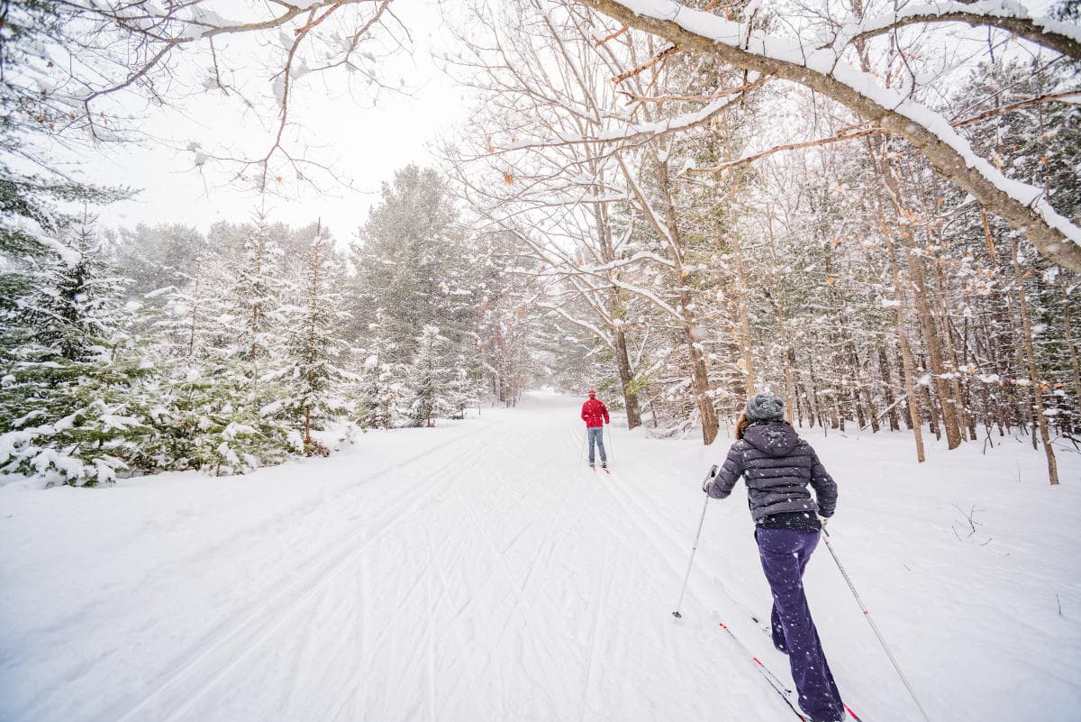 Skiing, Snowshoeing, Fat-Tire Biking and Groomed Trails in Grand Traverse County