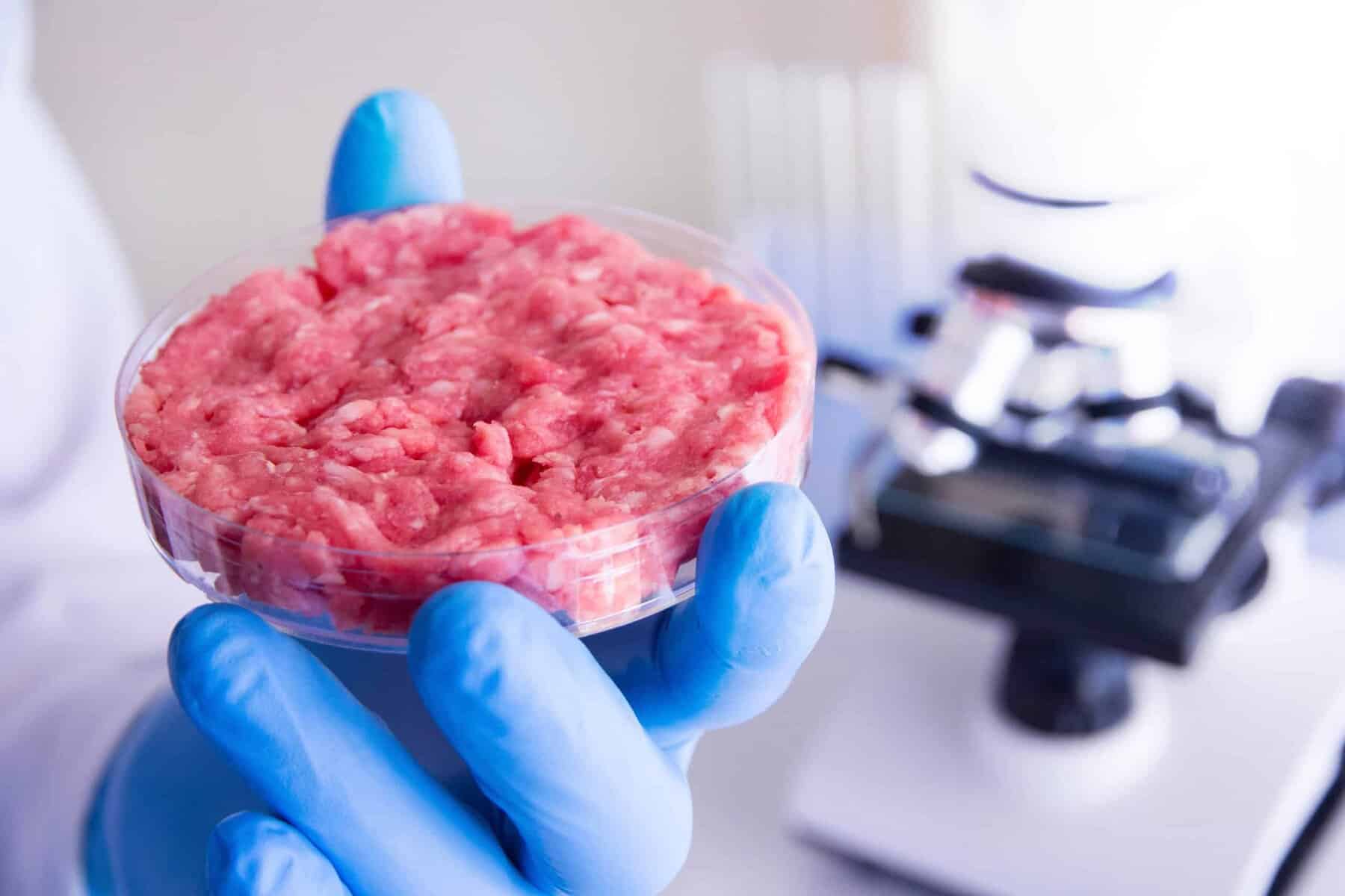 Ajinomoto develops cheaper transferrin substitute to cut cultivated meat media costs