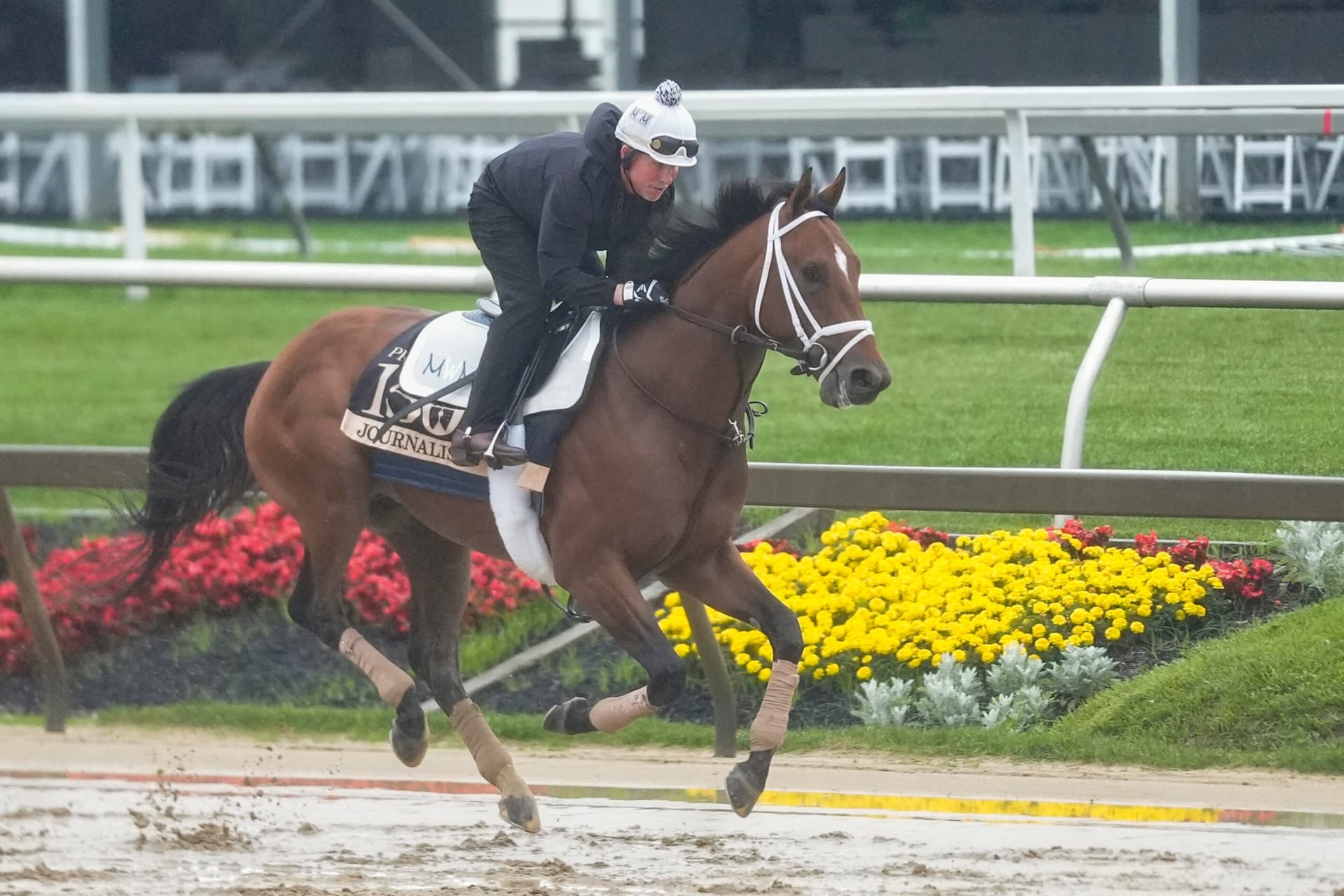 St. Elias Stable could send Iron Honor, Silent Tactic to Preakness