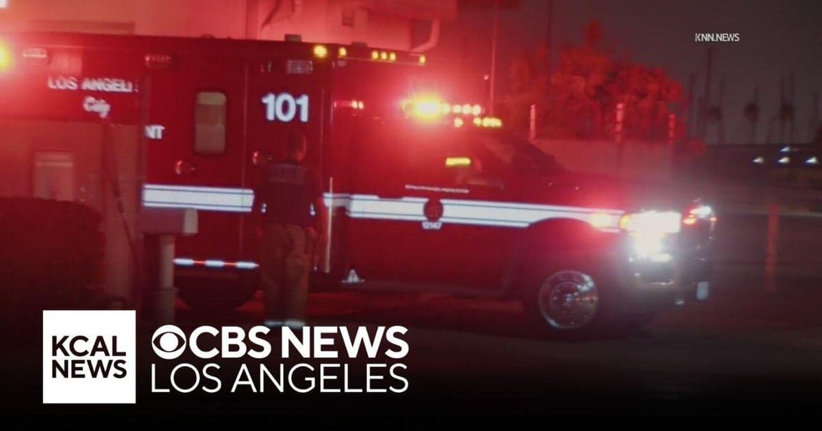 Swimmer Injured in Shark Encounter Near Catalina Island Sparks Safety Debate