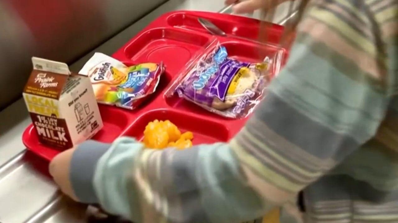 Maine Defends Voter Access, Enacts Red-Flag Laws; Colorado Funds School Meals