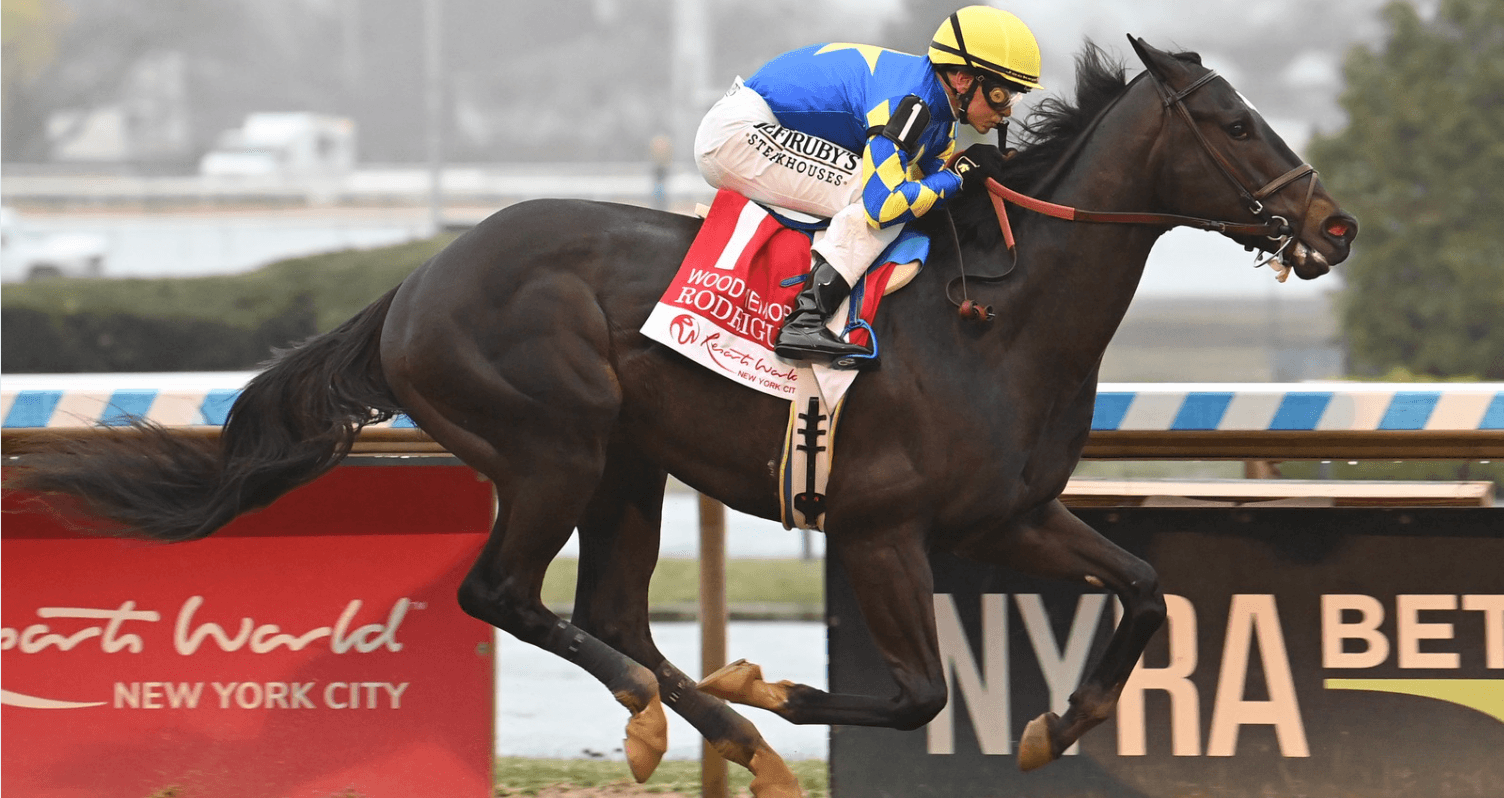 Right to Party Earns Kentucky Derby Spot With Wood Memorial Runner-Up Finish