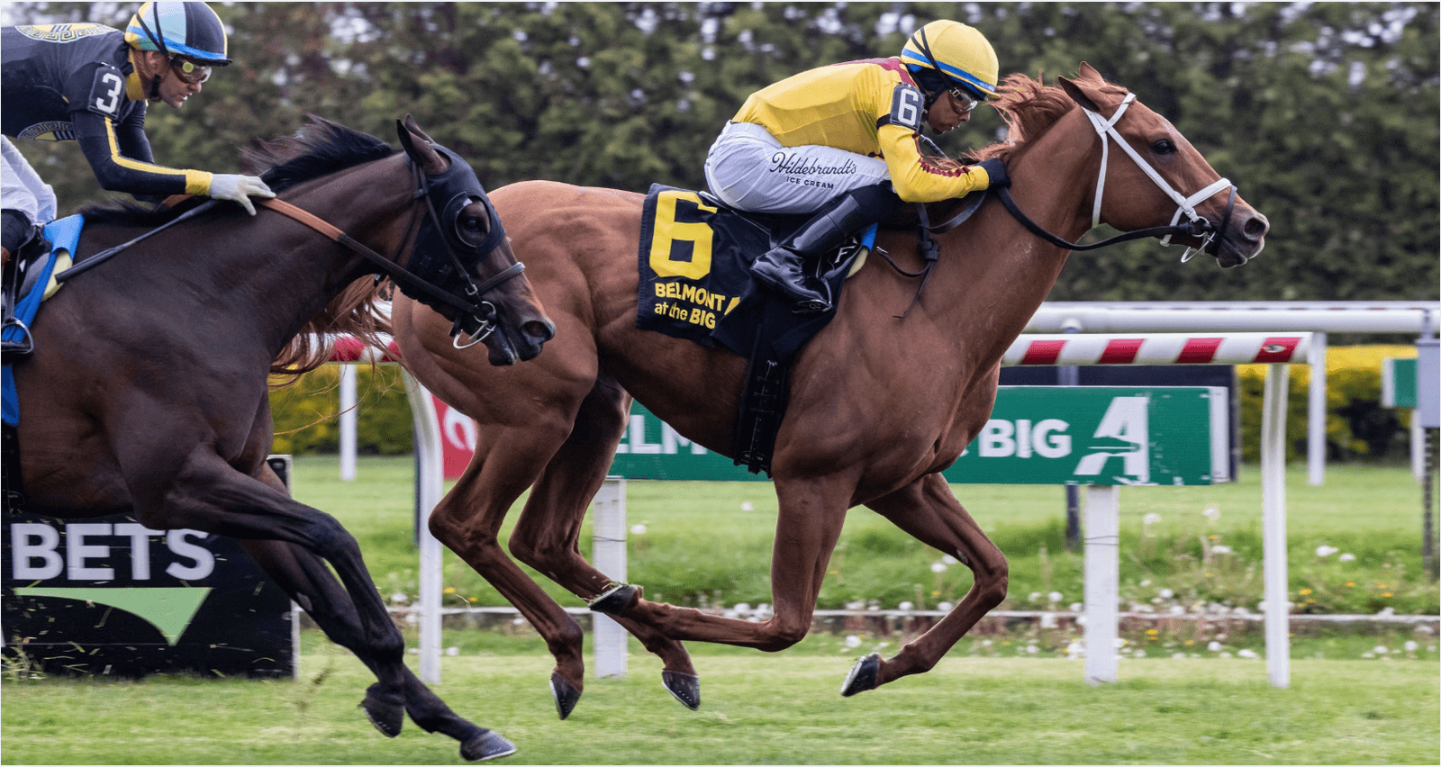 Cadenza stays unbeaten on turf with Take the A Train score