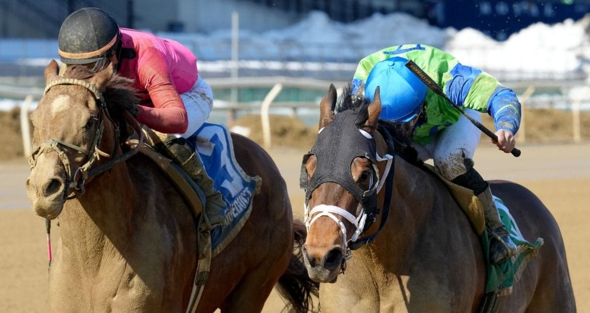 Bold Journey Last-to-First Noses Rivals to Capture G3 Tom Fool