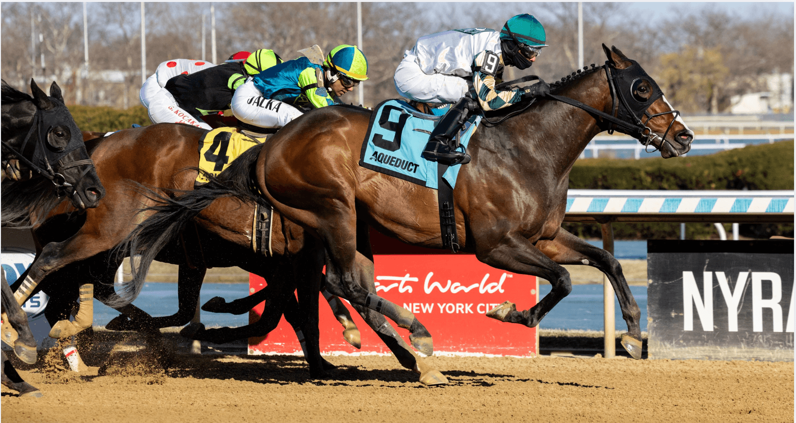 Radio Red Claims Haynesfield Stakes at Aqueduct in First Career Stakes Win