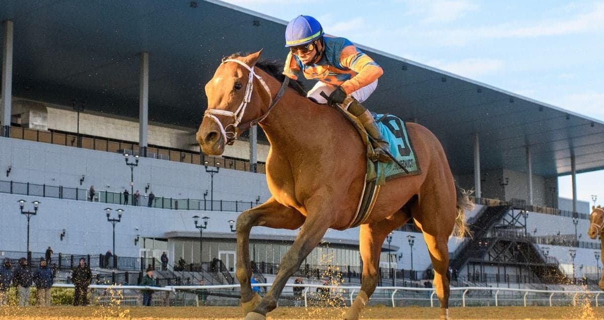 Belmont Stakes at Saratoga could favor lightly raced Powershift