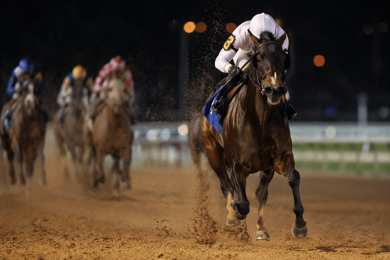 Damon’s Mound powers to 5 1/2-length Florida-bred sprint win