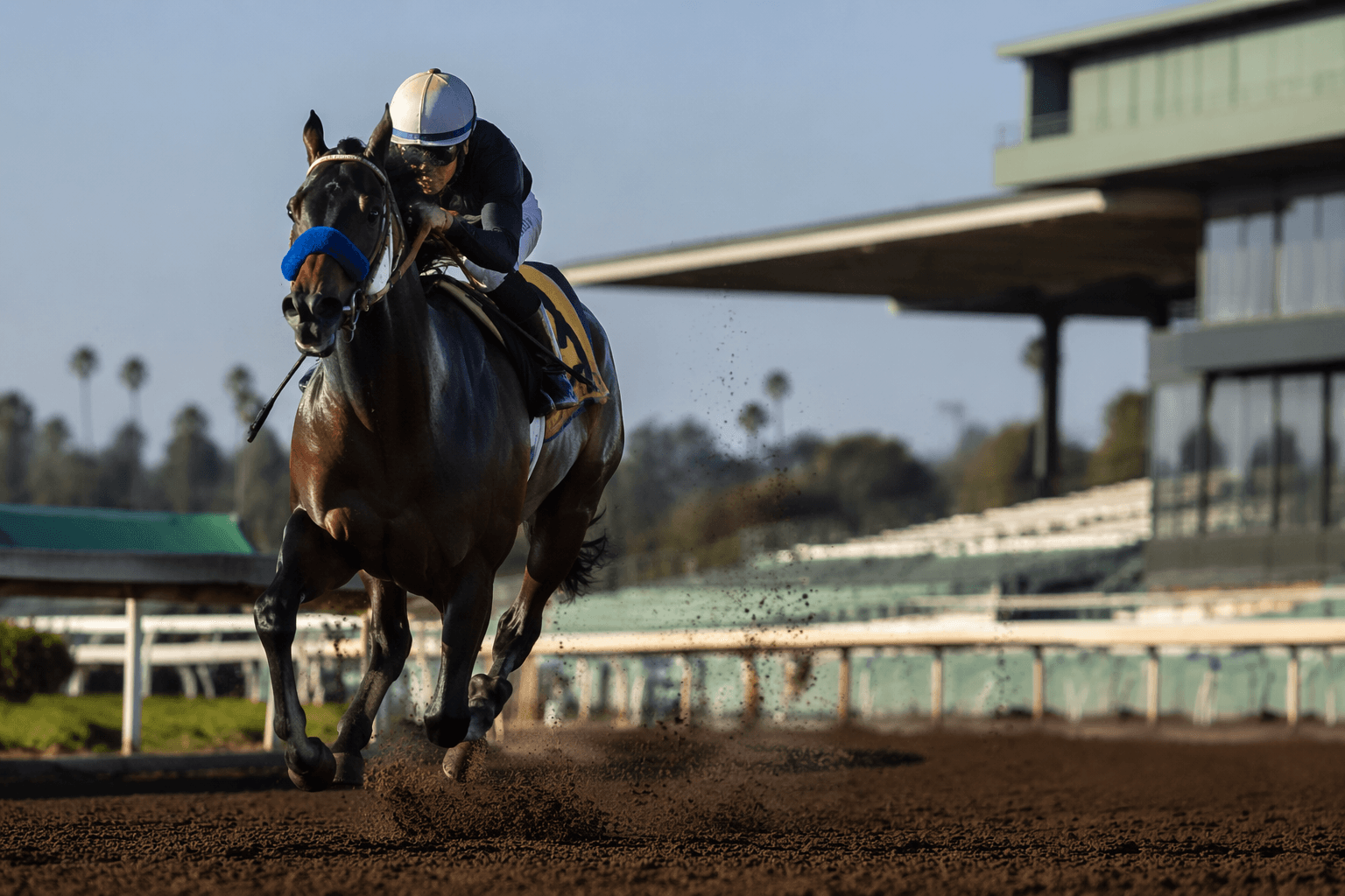 Early Encore dazzles at Santa Anita, becomes another Early Voting winner