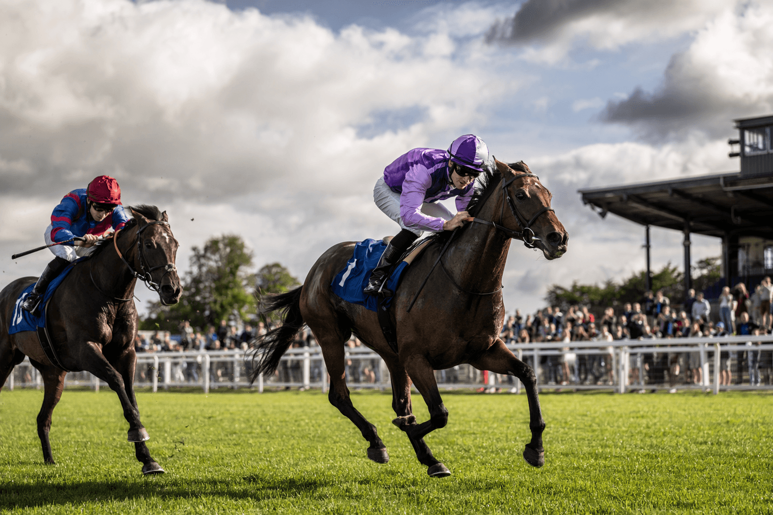 Victorious impresses in Naas maiden, eyes Royal Ascot next