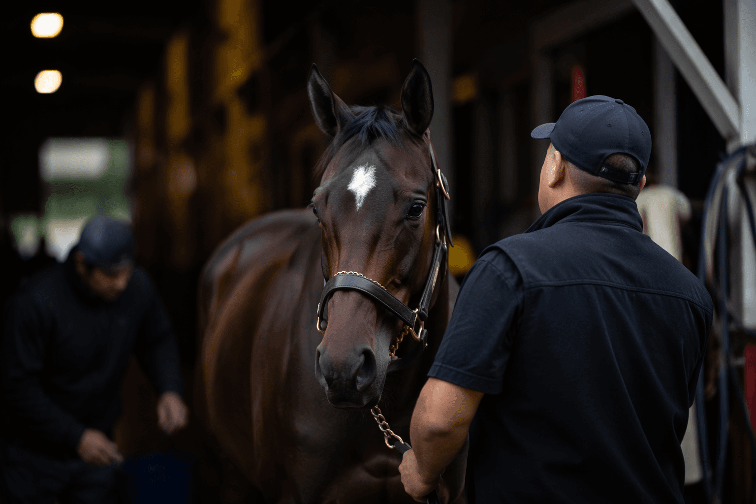 Luv Your Neighbor brings steady form to Delaware Oaks test
