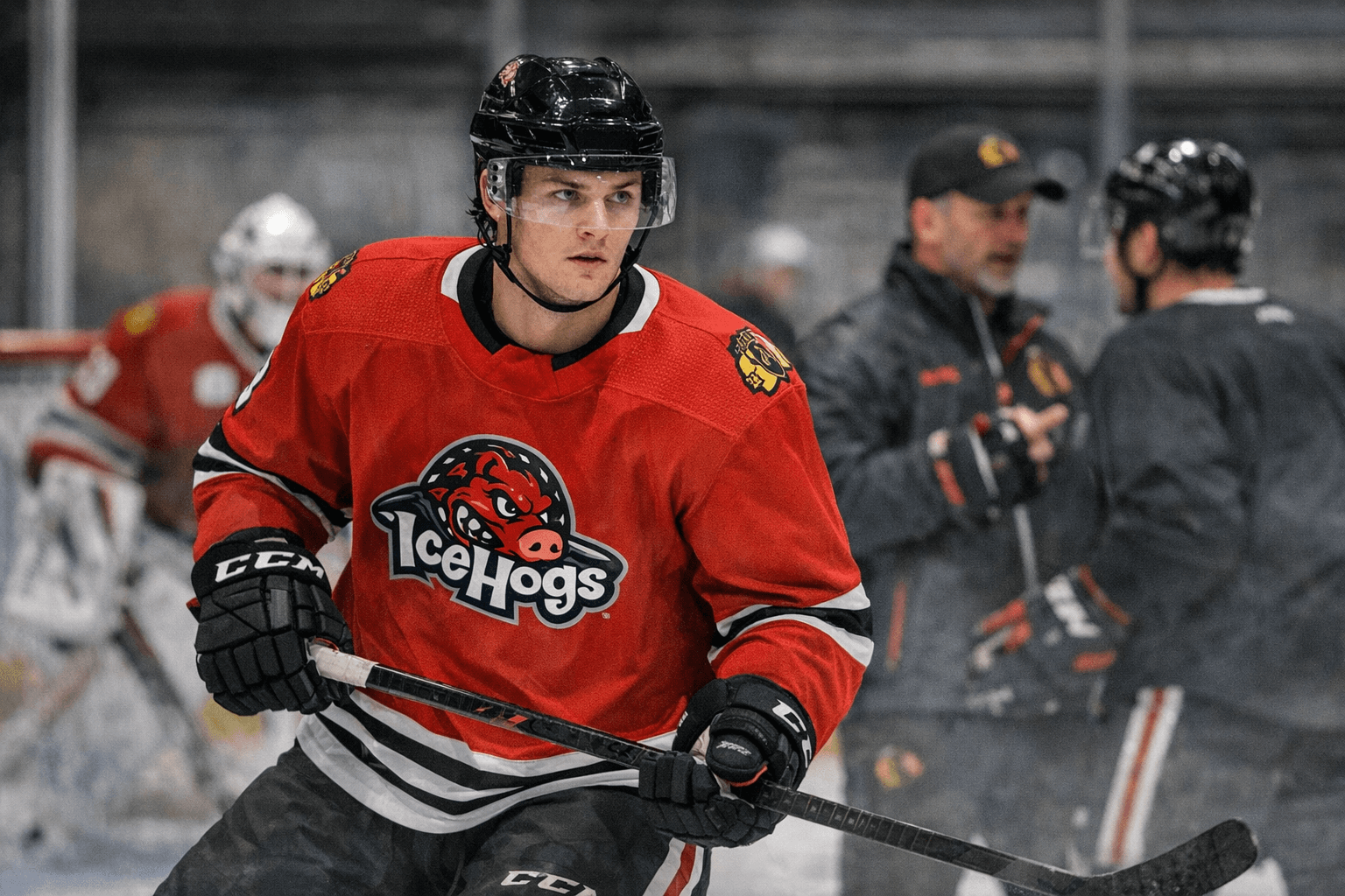 Rockford IceHogs sign left-shot Brayden Hislop to PTO after Blackhawks moves