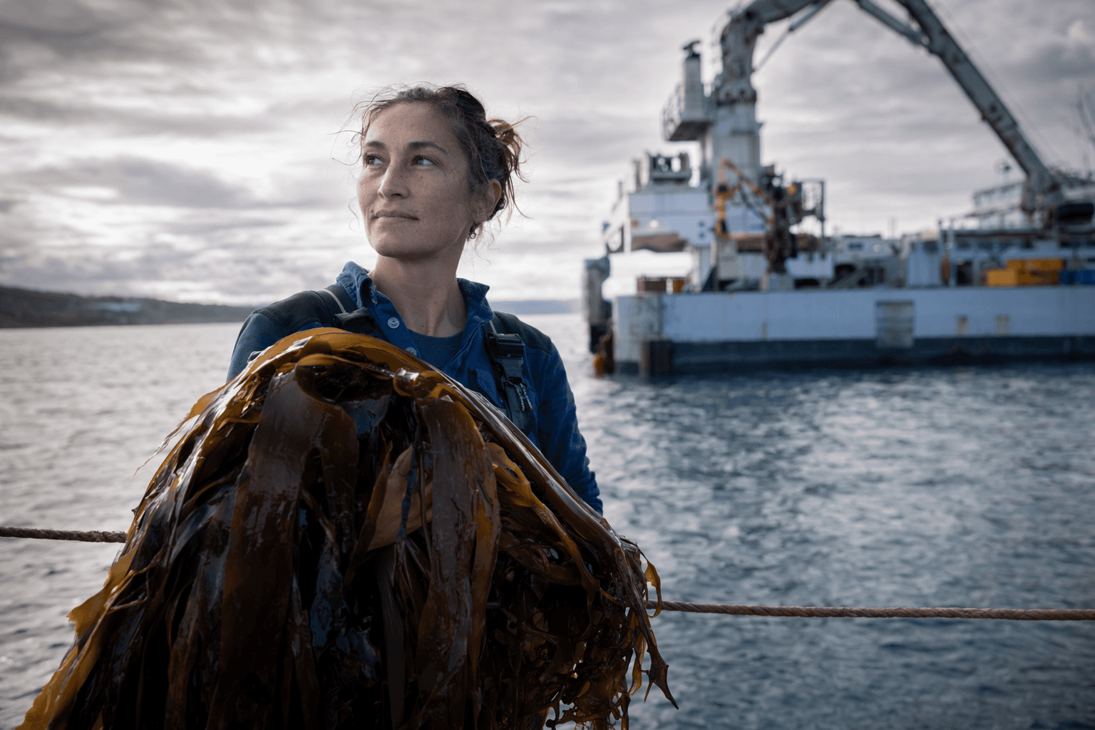 Researchers bet kelp could one day fuel ships, planes