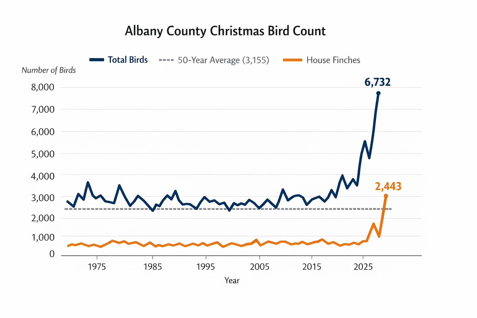 Albany County Christmas Bird Count Posts Record House Finch Total