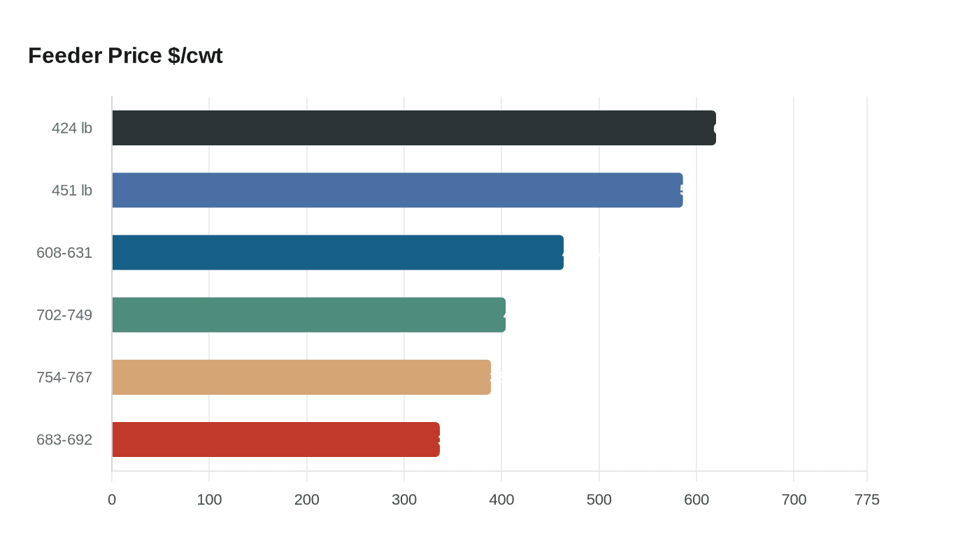 Data visualization chart