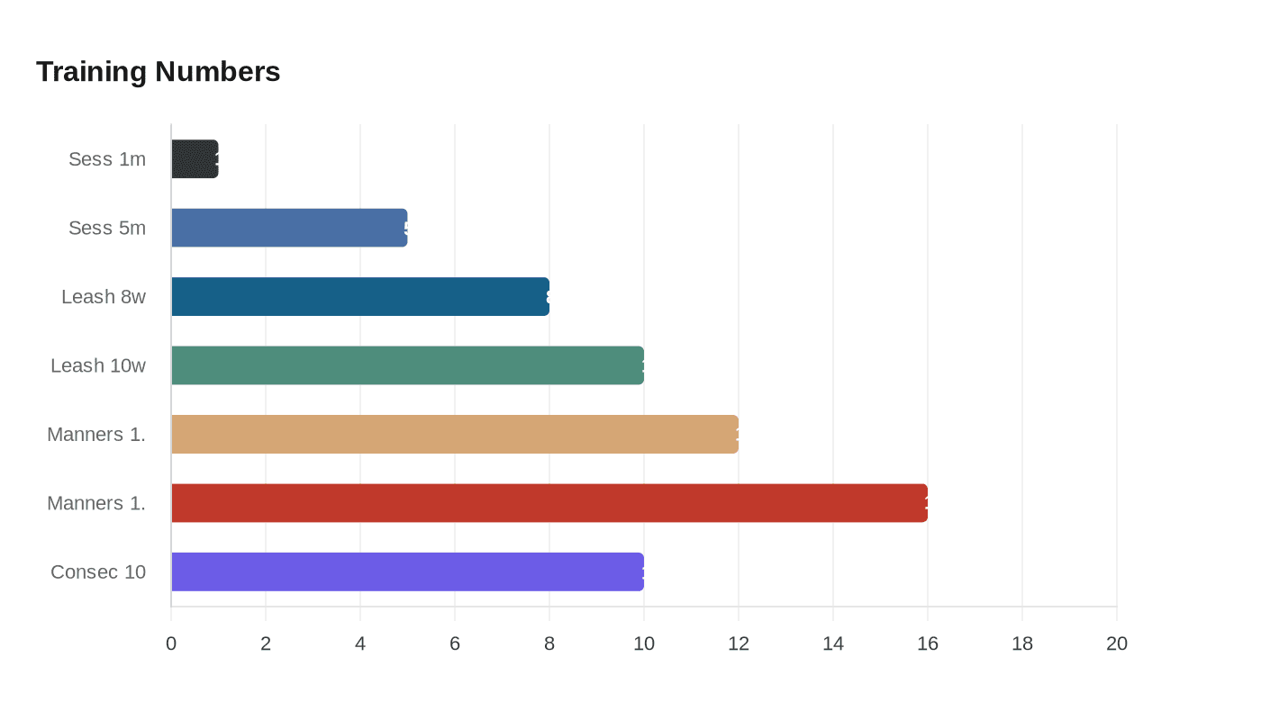 Data visualization chart