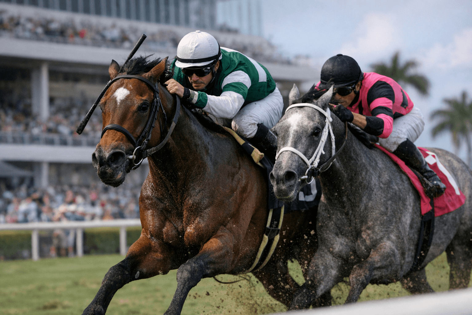 Lion Lake Rallies Under Gaffalione to Upset Sister Troienne in G3 Herecomesthebride