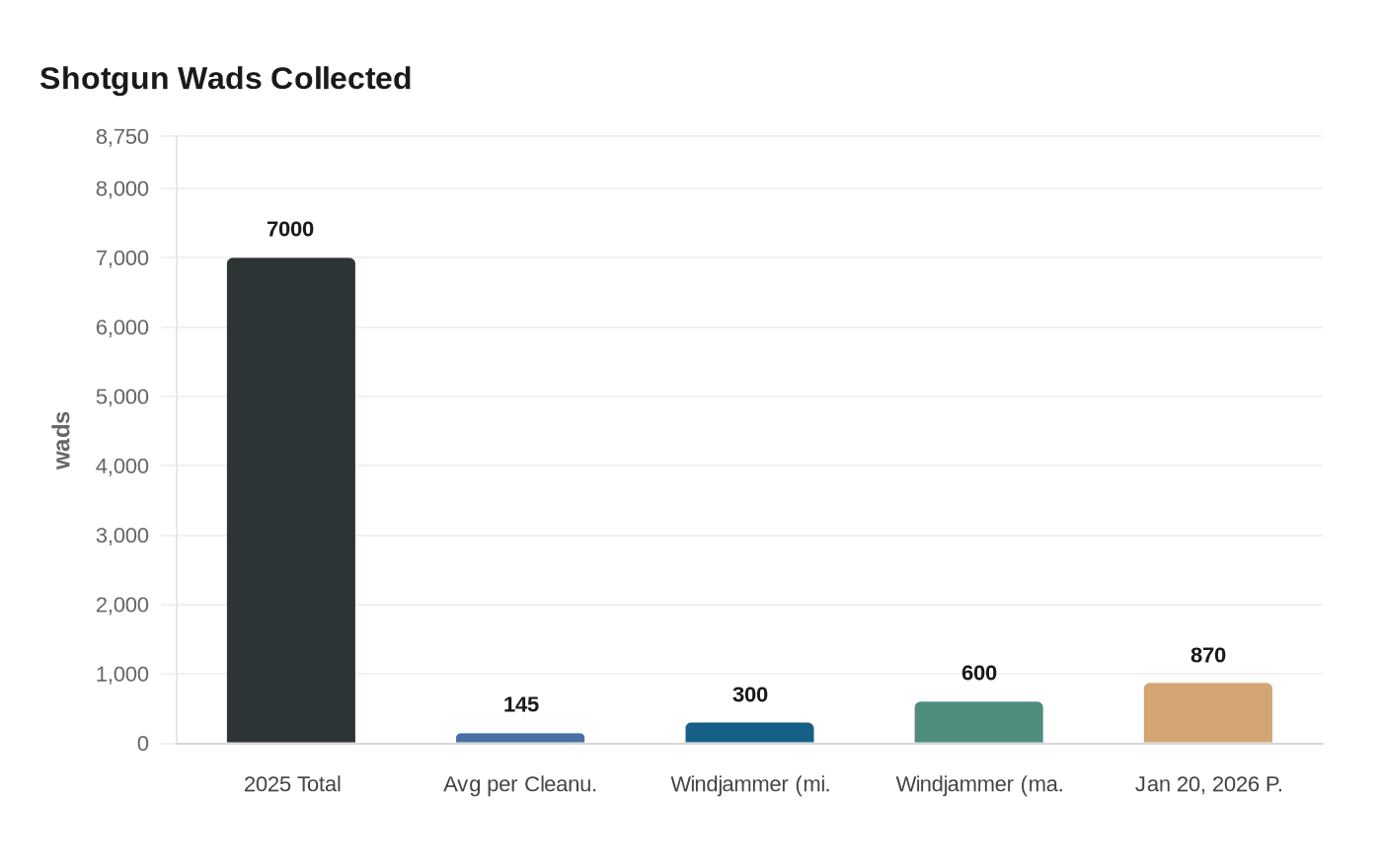 Shotgun Wads Collected