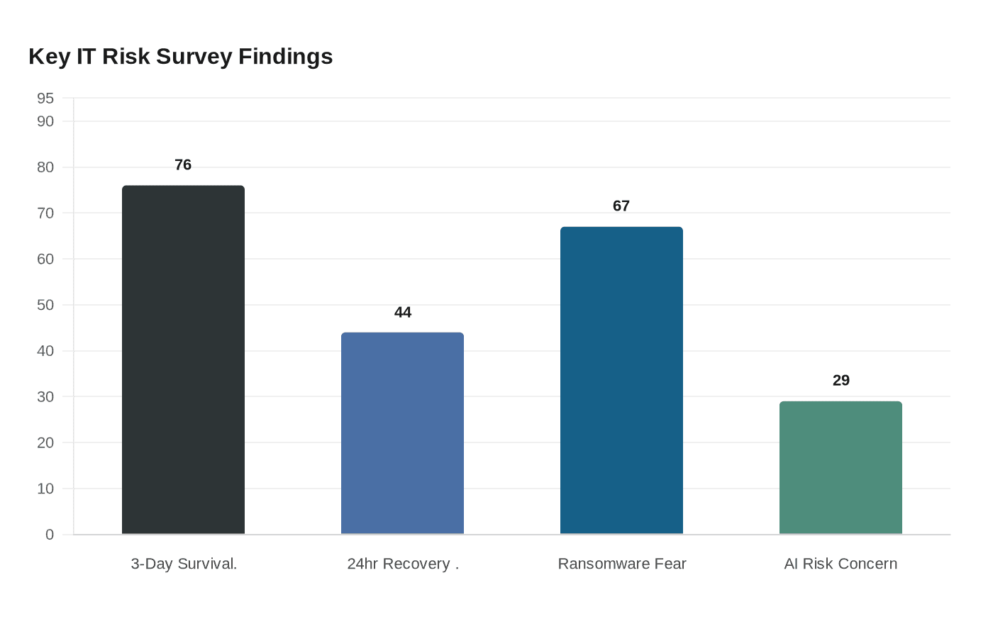 Key IT Risk Survey Findings