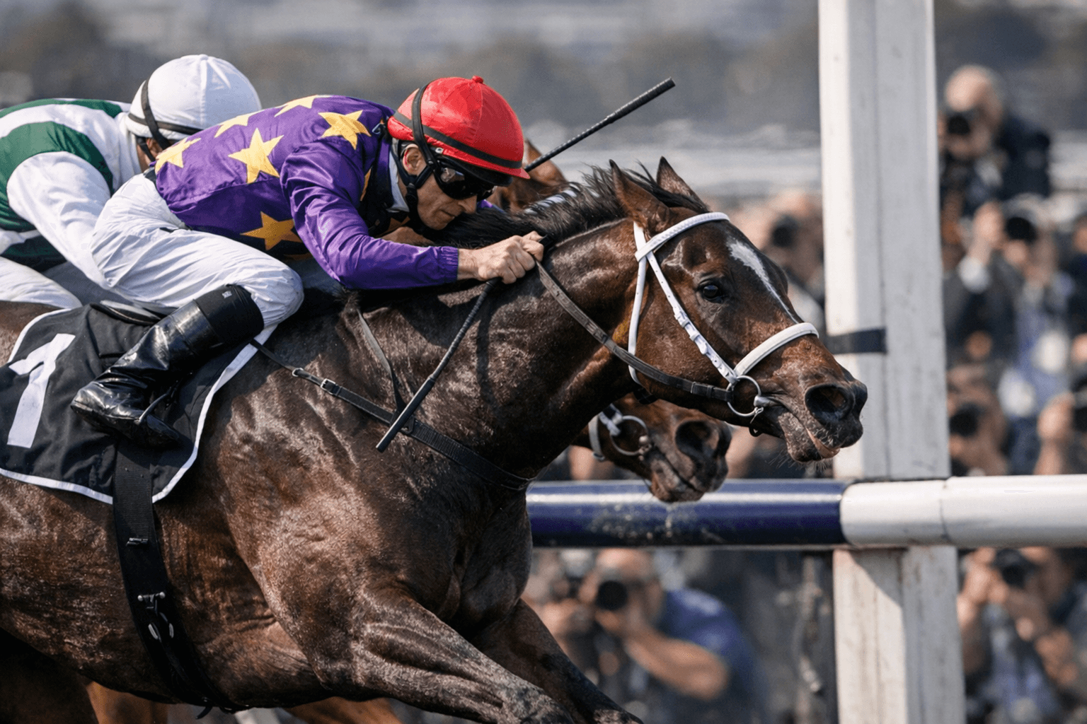 Thanks Gorgeous Storms Home in Sprint Classic Photo Finish at Flemington