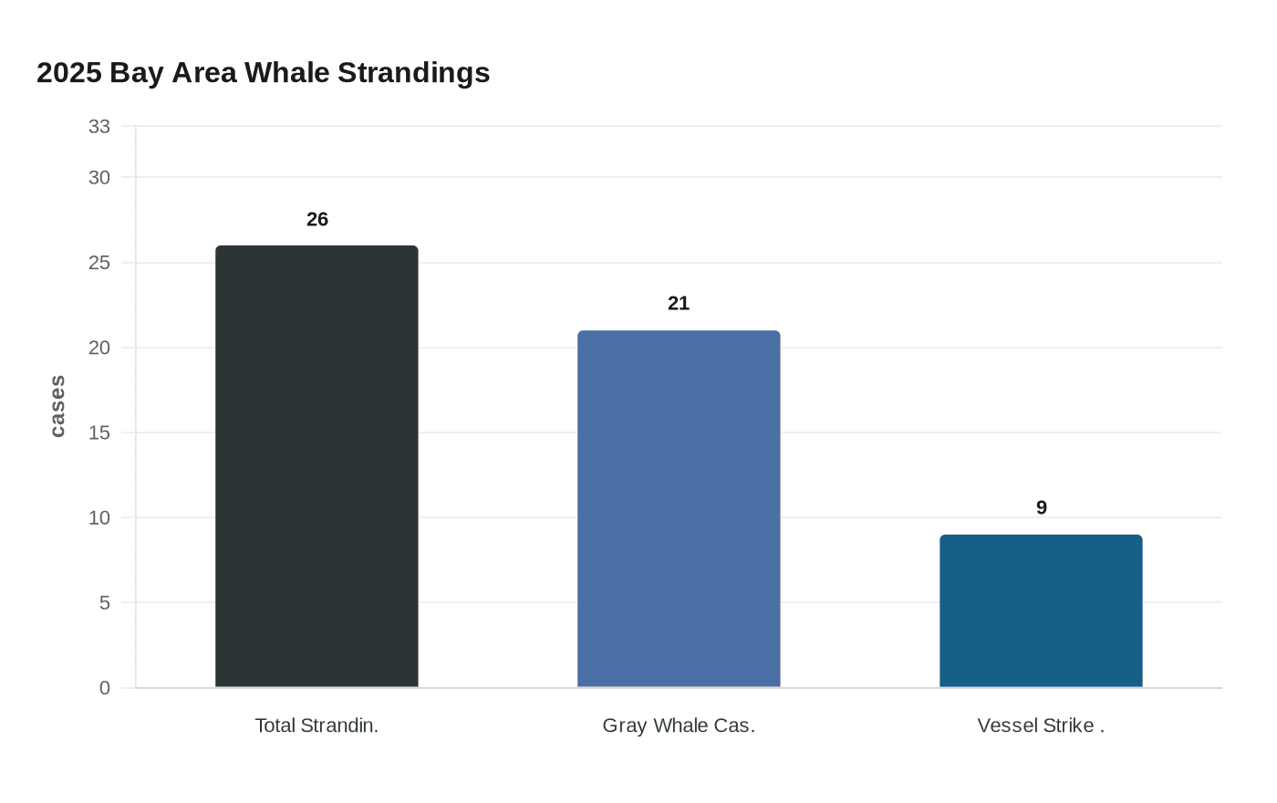 2025 Bay Area Whale Strandings