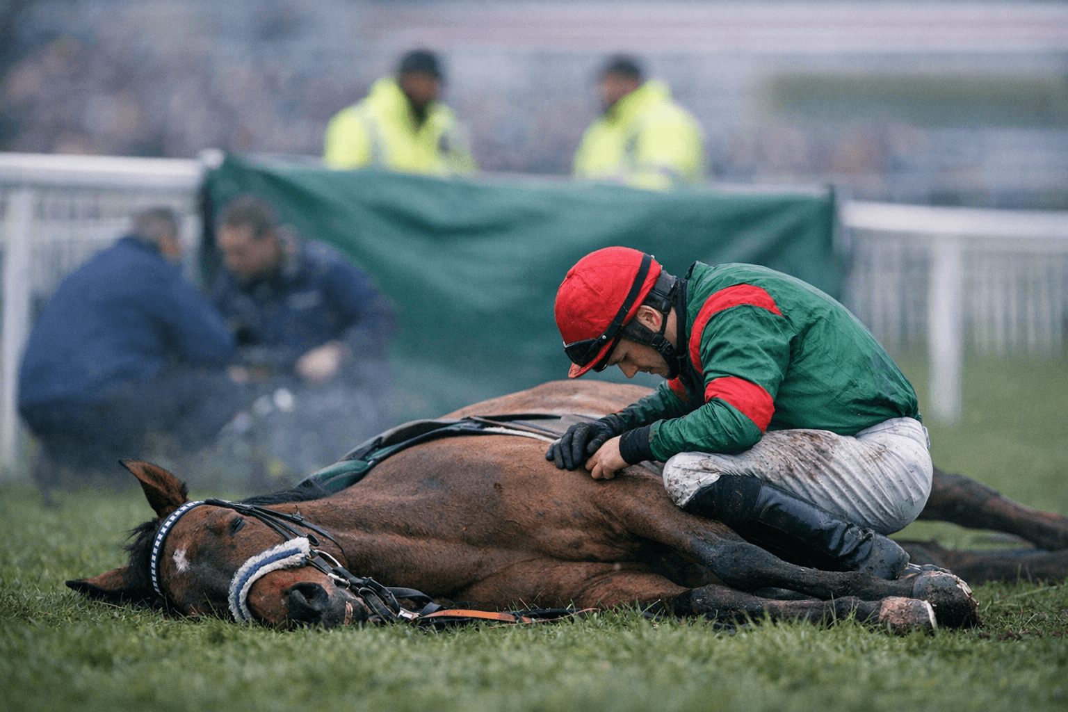 Celebre d'Allen Collapses at Aintree, Jockey Handed 10-Day Ban