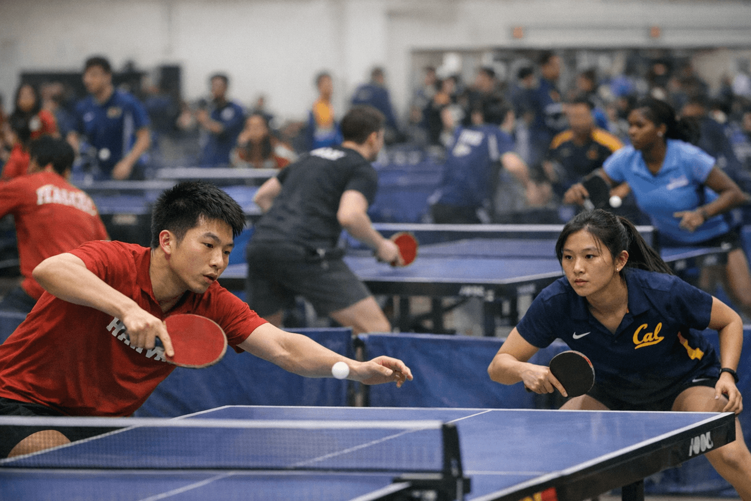 Rockford Hosts 250-Plus Student Athletes at Collegiate Table Tennis Championships