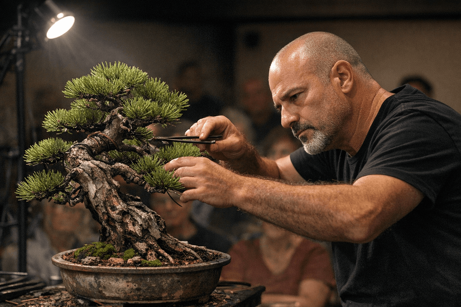 Bonsai Society of Australia to feature Antony Gymellis in May demonstration
