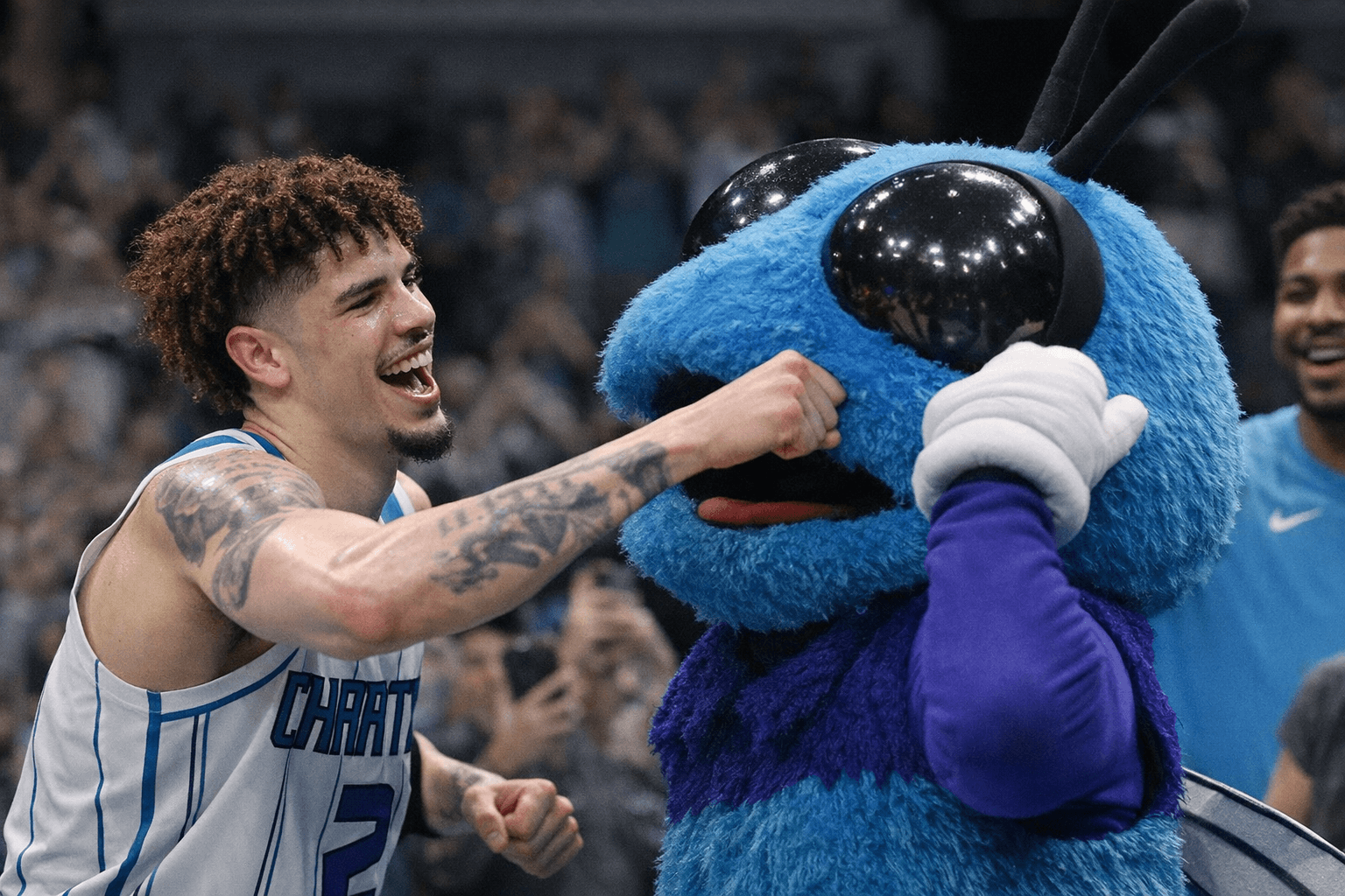 LaMelo Ball stuns after game-winner, jabs Hornets mascot Hugo twice