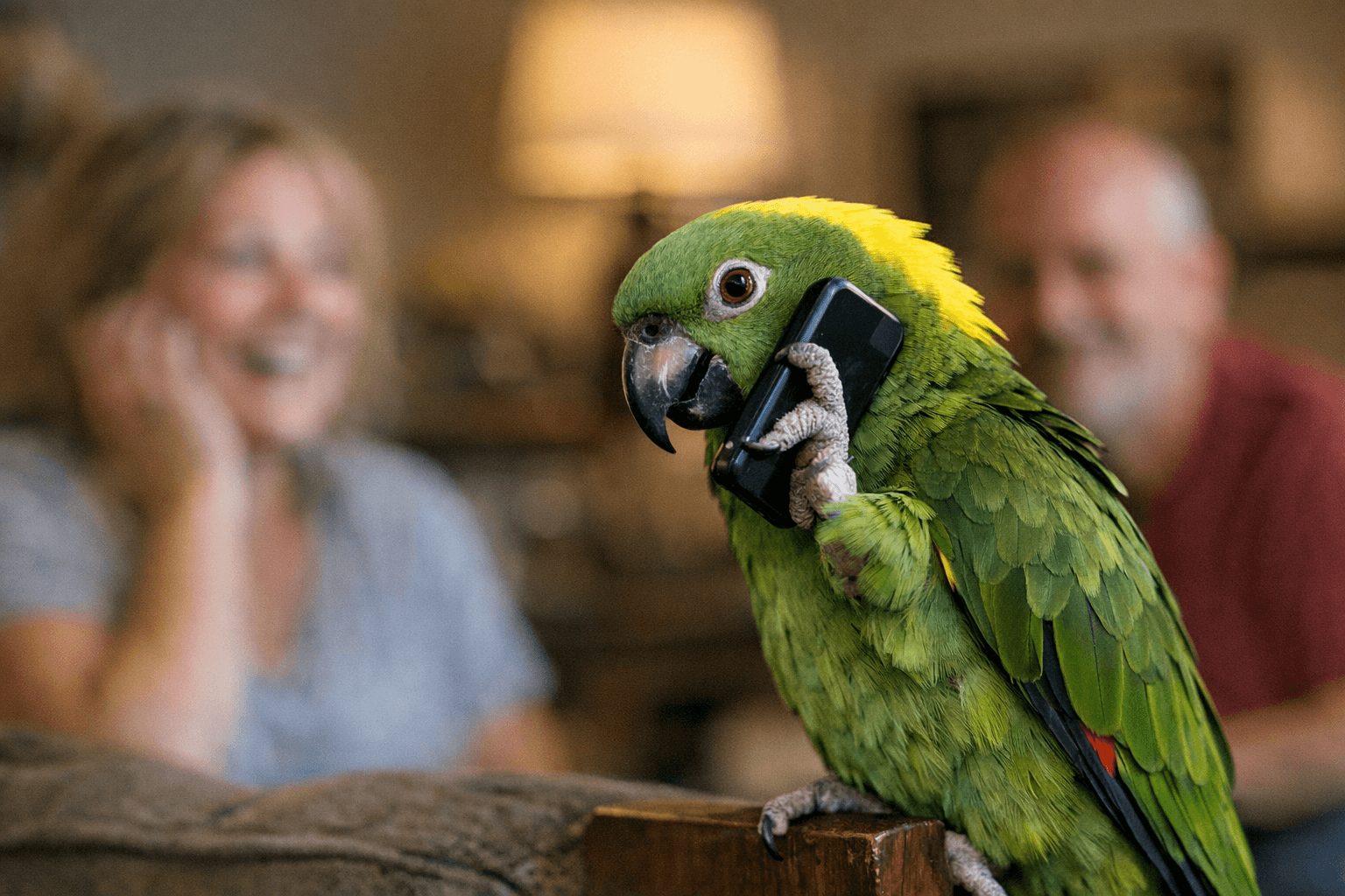 Yellow-Naped Parrot Brody Mimics Conversations, Showcasing Remarkable Vocal Learning