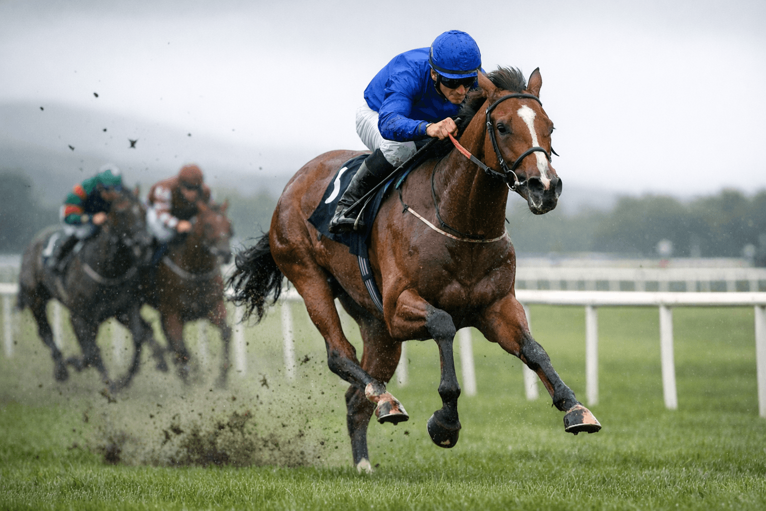 Great Barrier Reef dazzles on debut, lands TDN Rising Star honors